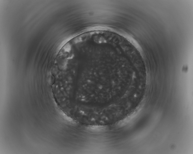 X0000090710953200708171904