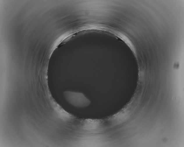 X0000090710954200708171904