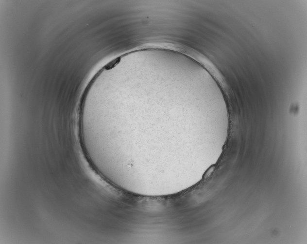 X0000090710955200708171904