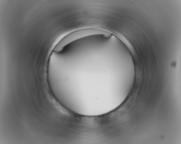 X0000090710956200708171904