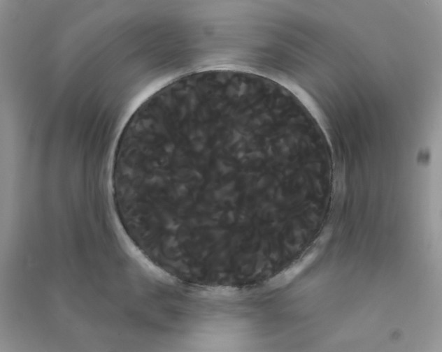 X0000090710957200708171904