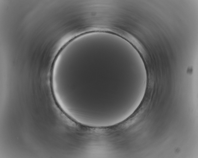 X0000090710958200708171904