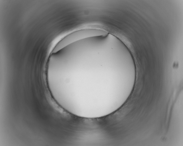 X0000090710960200708171904