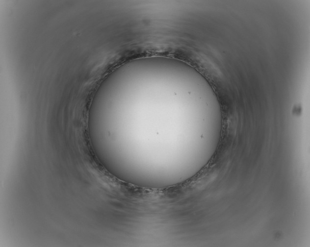 X0000090710961200708171903