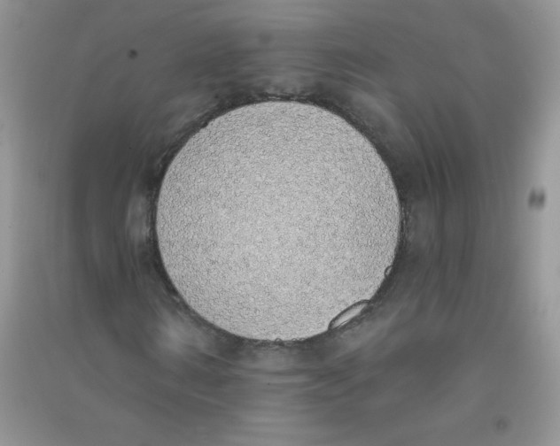 X0000090710962200708171903