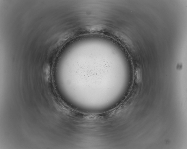 X0000090710963200708171903