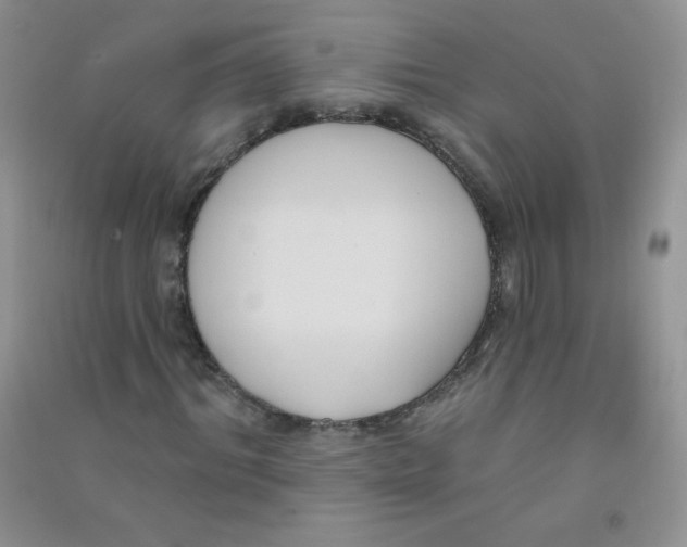 X0000090710964200708171903