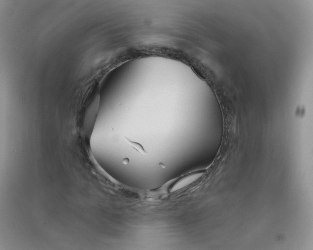 X0000090710965200708171903