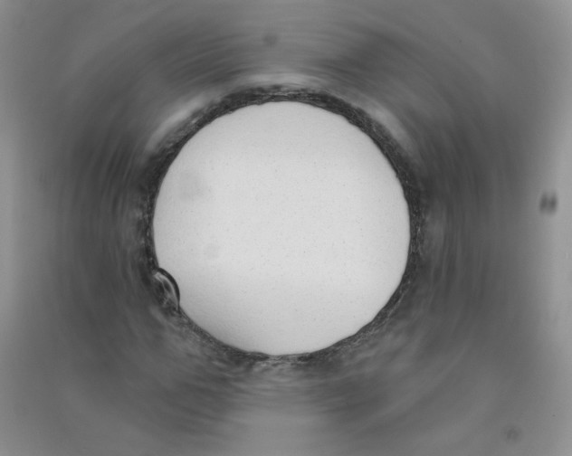 X0000090710967200708171903