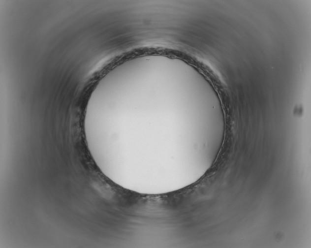 X0000090710968200708171903