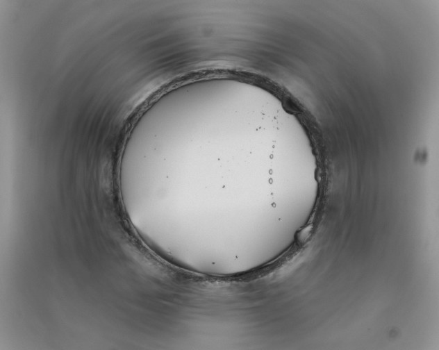 X0000090710969200708171903