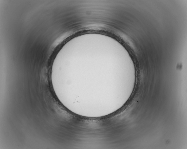 X0000090710970200708171903