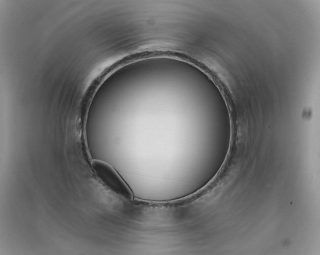 X0000090710973200708171903