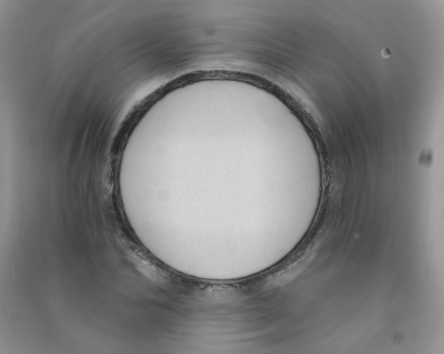 X0000090710974200708171903