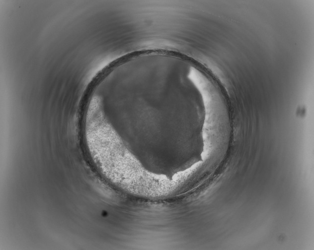 X0000090710975200708171903