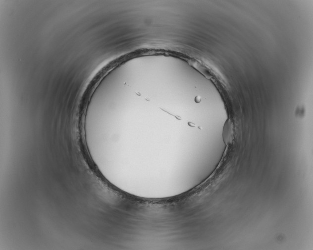 X0000090710976200708171903