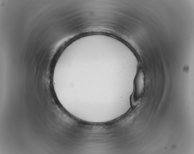 X0000090710979200708171903