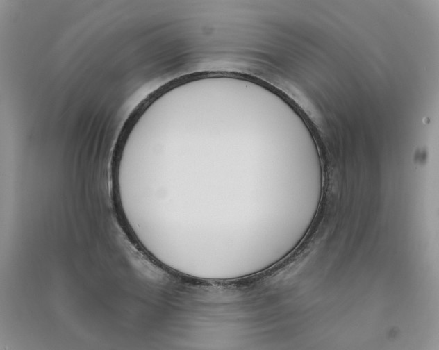 X0000090710980200708171903