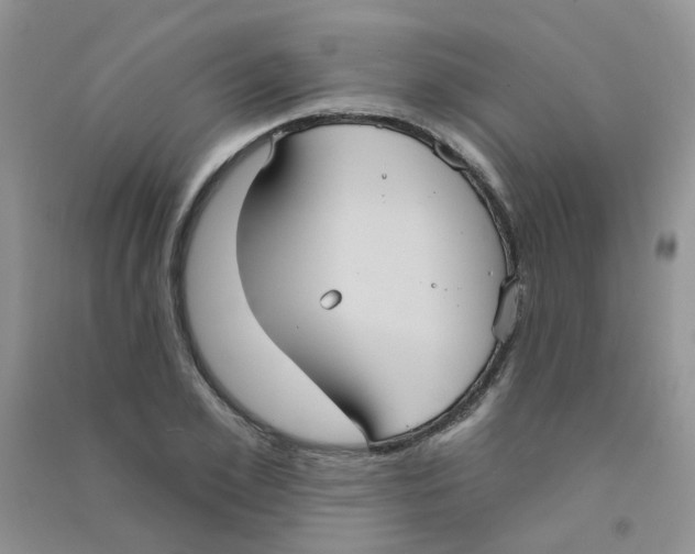 X0000090710981200708171903