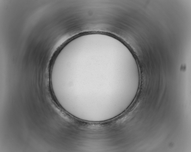 X0000090710982200708171903