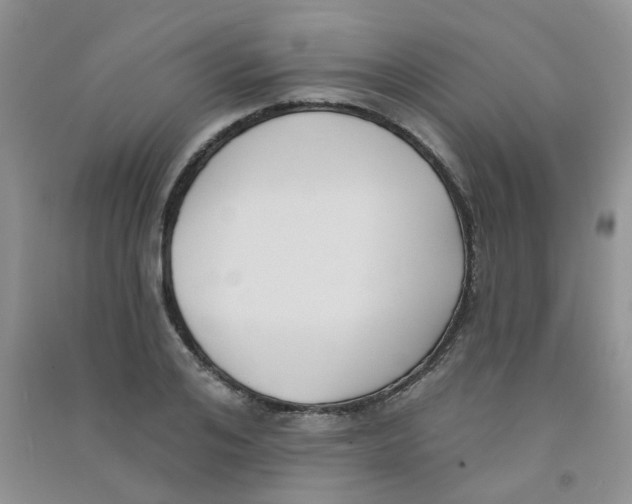 X0000090710984200708171903