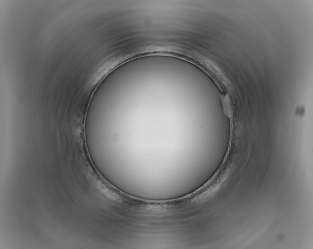 X0000090710985200708171903