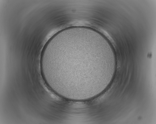 X0000090710986200708171903