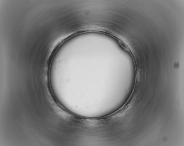 X0000090710987200708171903