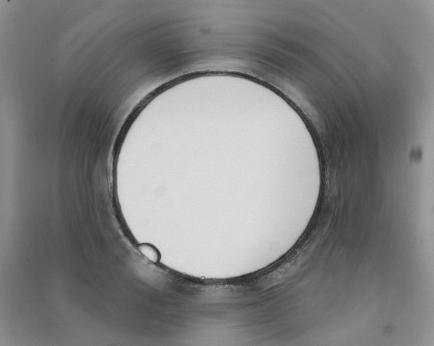 X0000090710988200708171903