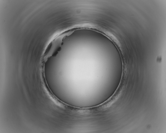 X0000090710989200708171903