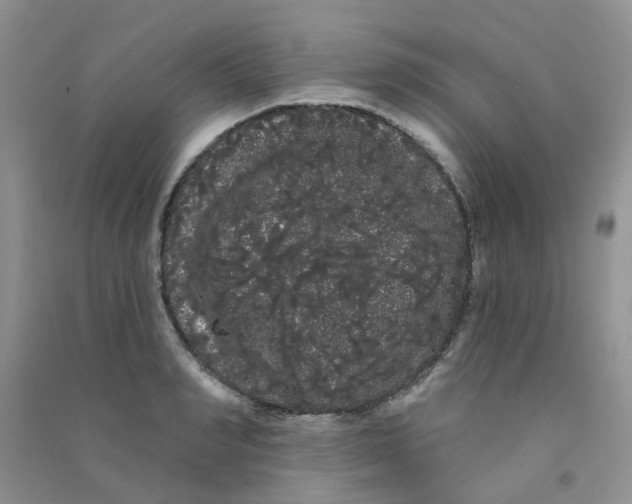 X0000090710990200708171903