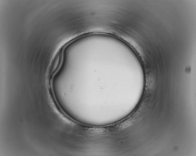 X0000090710991200708171903