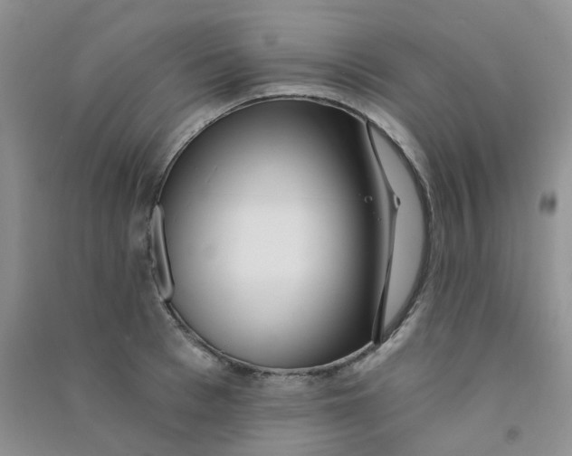 X0000090710993200708171903