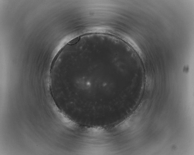 X0000090710994200708171903