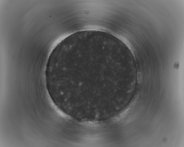 X0000090710995200708171903