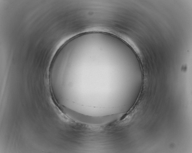 X0000090710996200708171903