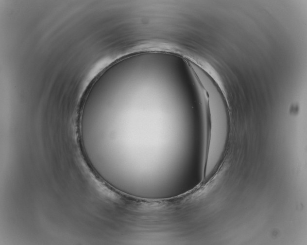 X0000090710997200708171903