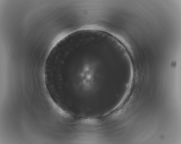 X0000090710998200708171903