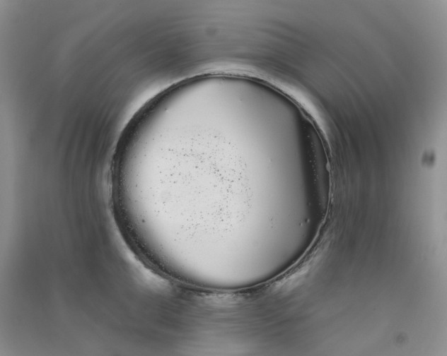 X0000090710999200708171903