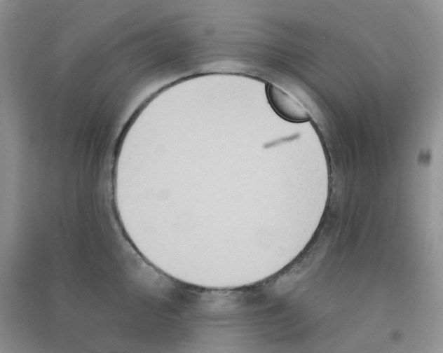 X0000090711000200708171903