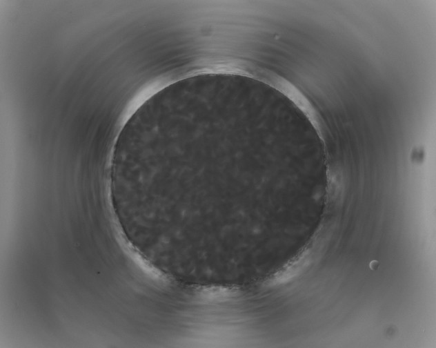 X0000090711002200708171903