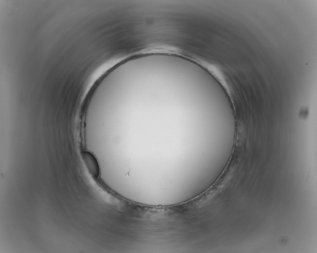 X0000090711003200708171903