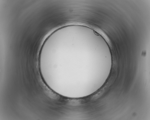 X0000090711004200708171902