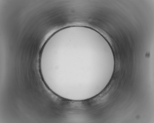 X0000090711006200708171902