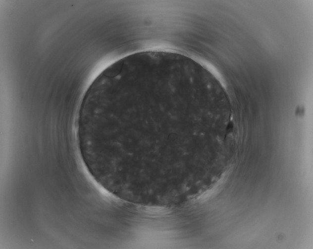 X0000090711007200708171902