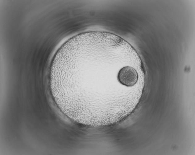 X0000090711008200708171902