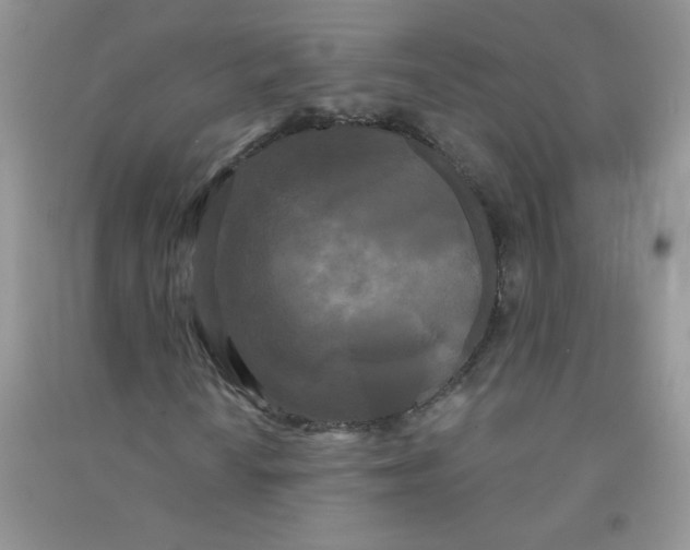 X0000090711010200708171902