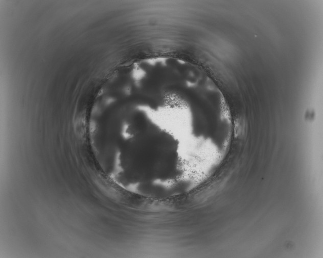 X0000090711011200708171902