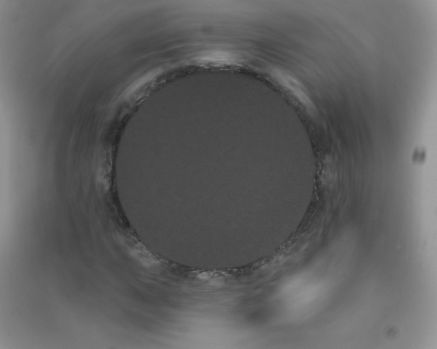 X0000090711015200708171902