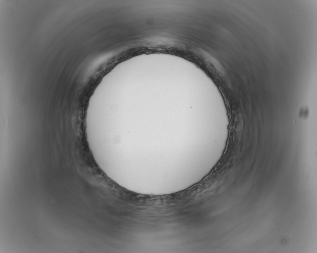 X0000090711016200708171902